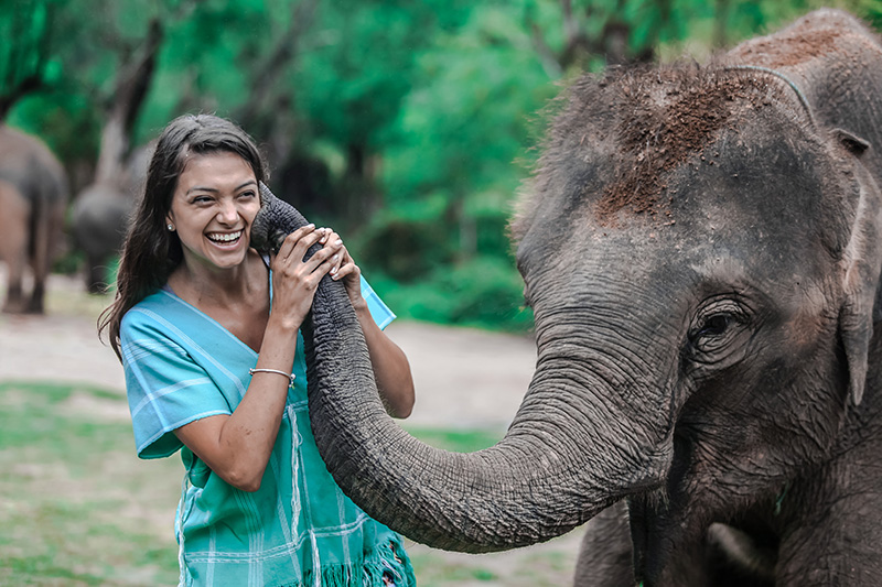 An elephant sanctuary in Thailand - An Elephant Never Forgets. - Barton House Memory Care - Sugar Land, TX