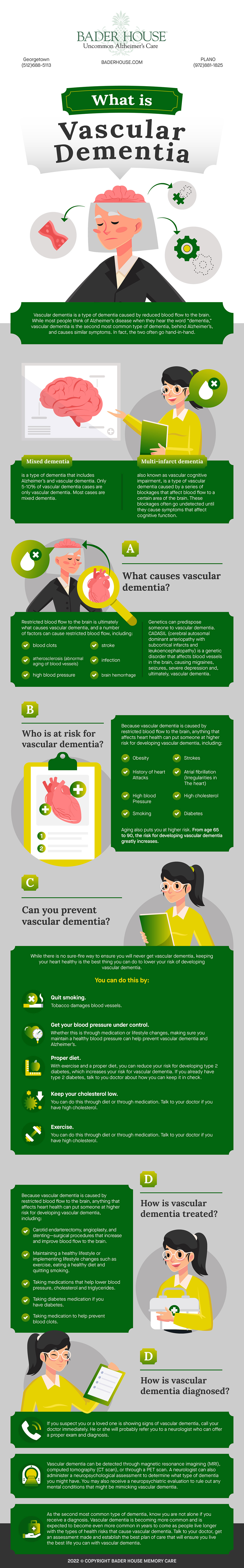 Vascular Dementia Infographic